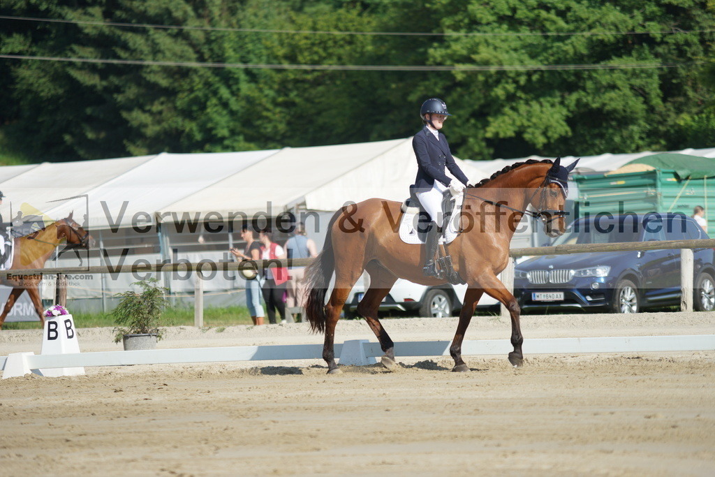 DSC04023 | equestrian-live-com