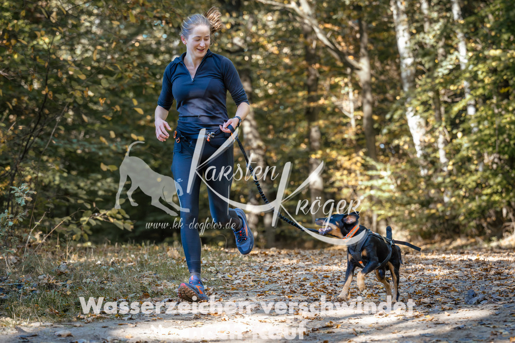 1217_ZZ94715 | kk-dogfotos