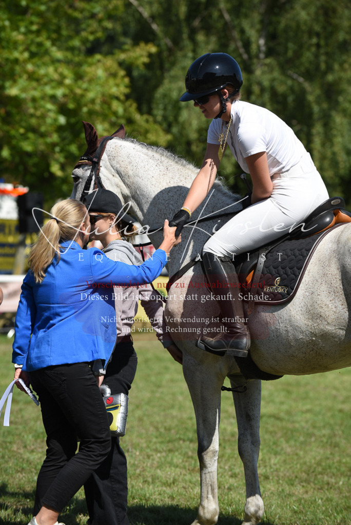 DSC_0454 | Pferde- und Turnierfotografie in Westsachsen. Pferdeportraits, Auftragszeichnungen und intuitive Kunst.