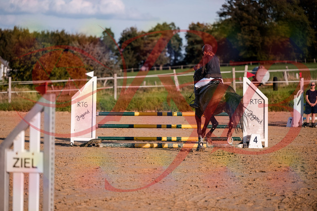 2026_10_03_Siefer-Hof_171905_Z81_17078647 | Professionelle Reitsport-, Turnier- und Eventfotografie von Robert Broda. Galerien mit ausgewählten und bearbeiteten Bildern direkt online ansehen und bestellen.