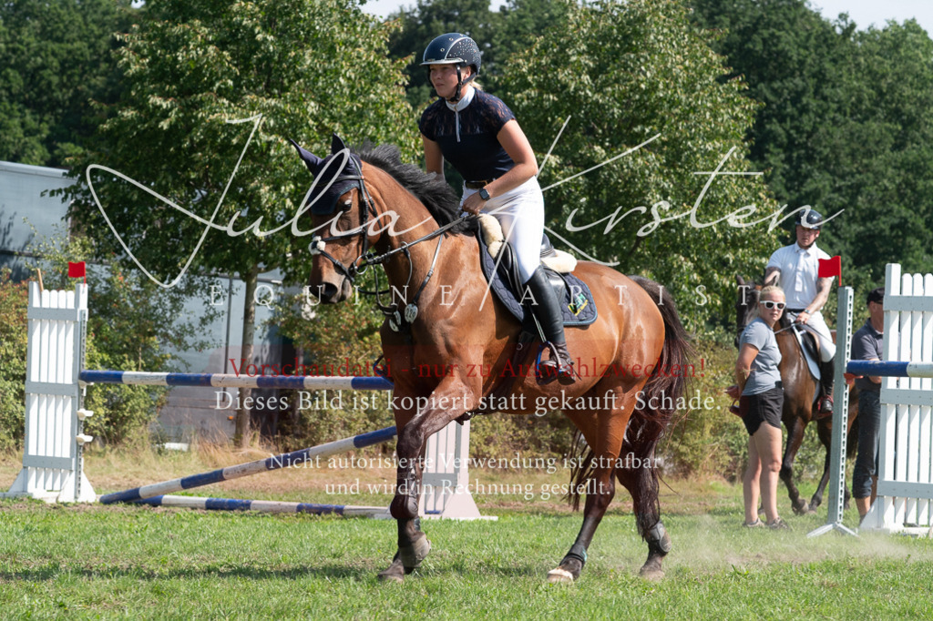 DSC_0793 | Pferde- und Turnierfotografie in Westsachsen. Pferdeportraits, Auftragszeichnungen und intuitive Kunst.