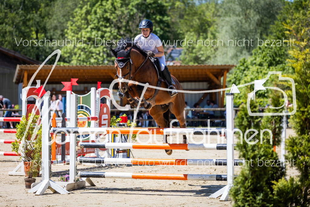 Donop24-L-Spr-004 | MomenTaufnahmen Pferdesportfotos