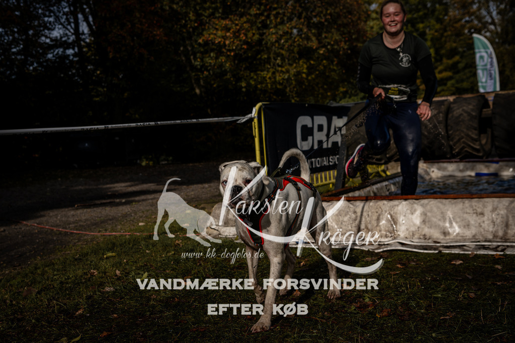 1317_ZZ92304 | kk-dogfotos