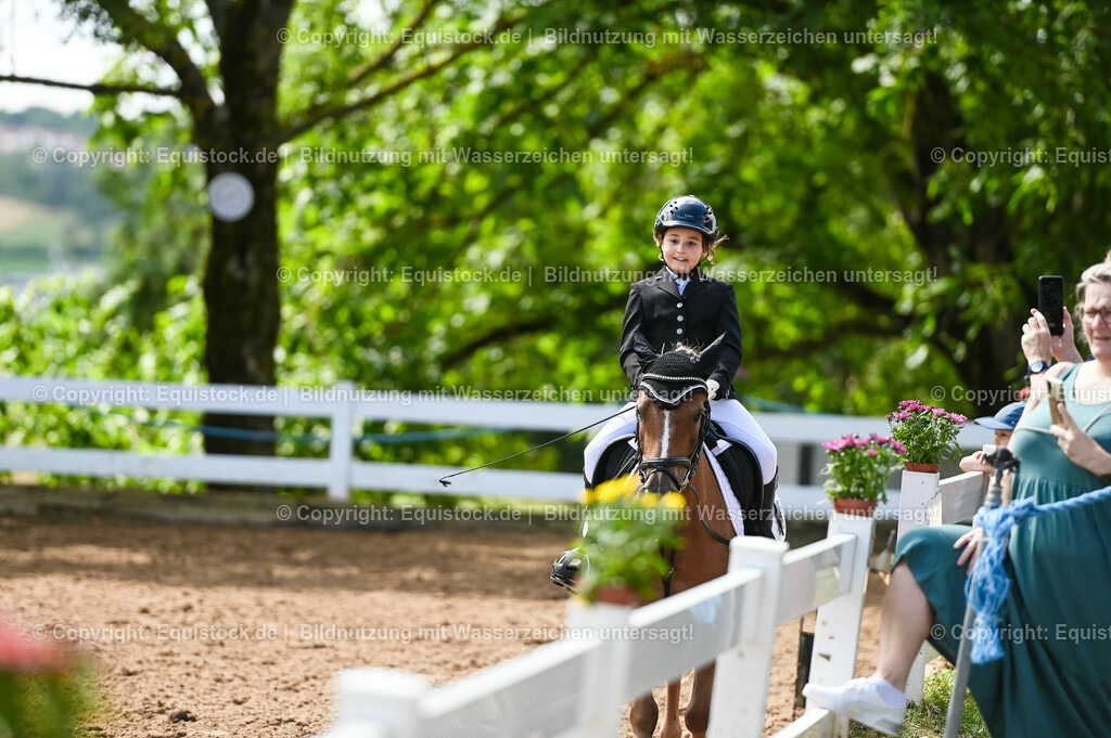 20230716_10-3_Reiter-WB Schritt - Trab - Galopp_0038 | equistock