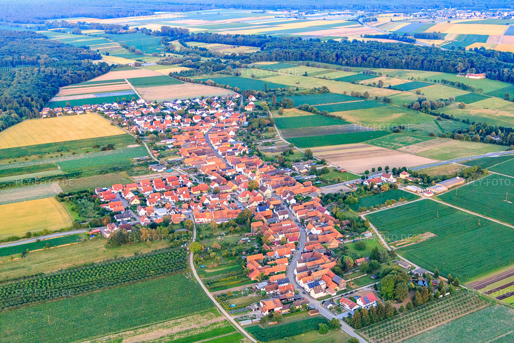 Luftbild: Ortsansicht von Westen in Erlenbach bei Kandel im Bundesland Rheinland-Pfalz in Deutschland. Foto: IMG_082856.jpg vom 25.06.2015 durch Werner Riehm/FLY-FOTO.de