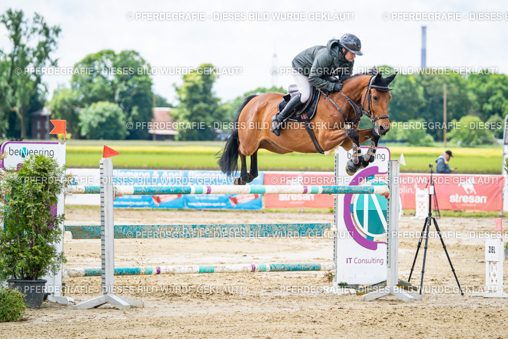 DSC04777 | Pferdegrafie