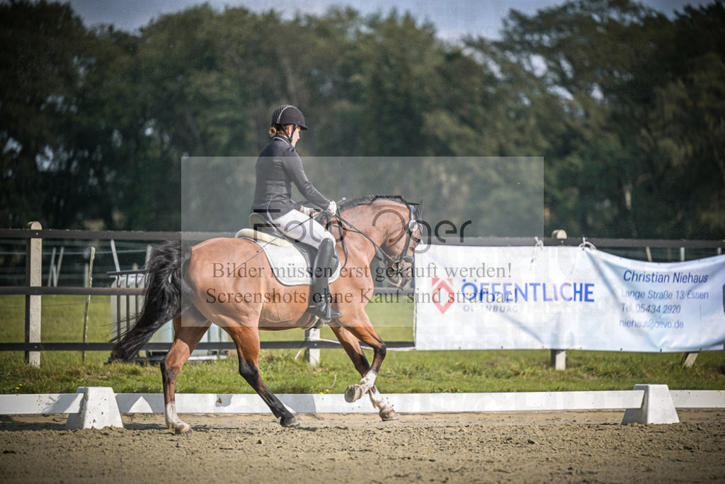DOS_B755 | Entdecke hochwertige Reitturnierfotos von Foto Oger. Professionell, emotional und authentisch – jetzt Lieblingsmomente im Shop bestellen.Deutschlandweite Turnierfotografie. - Realisiert mit Pictrs.com