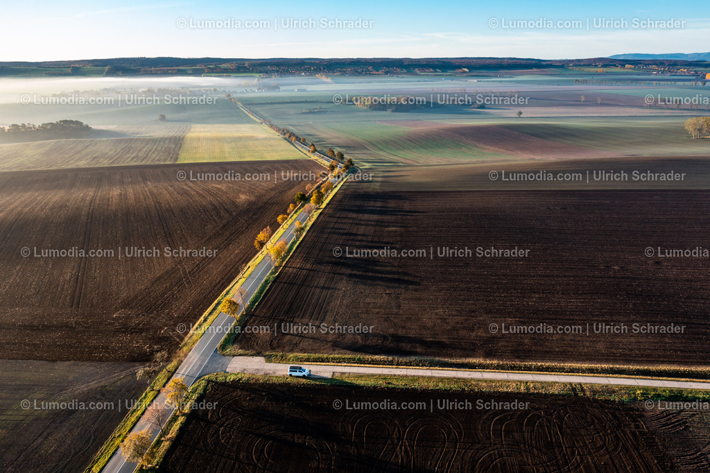 10049-51528 - Felder am Huy | Stockfoto und Bilderpool mit Bildmaterial aus Deutschland, dem Harz, Halberstadt, Quedlinburg, Wernigerode und weltweit. Qualitativ hochwertige und professionelle Fotos anschauen und kaufen. - Realisiert mit Pictrs.com