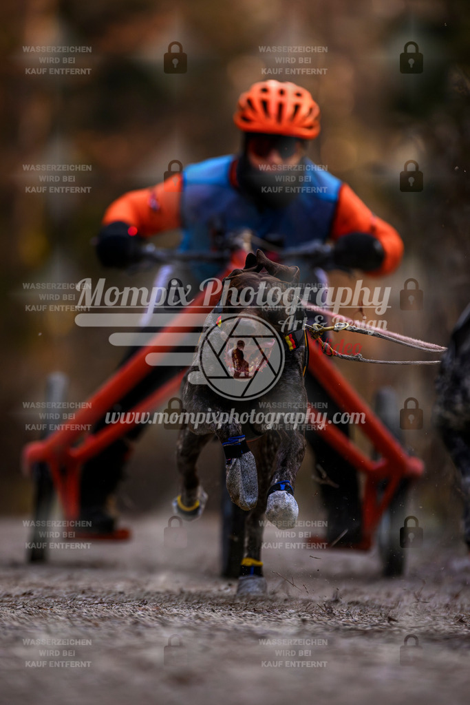 MompixPhotography_DM_AKDM_SO_2025_Wagen-38 | PayLife