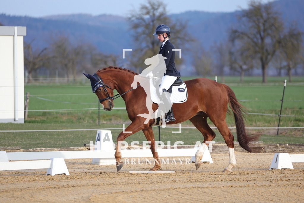 0P6A5919 | Willkommen bei Brunnmayr - Design & Fotografie – Ihrem Spezialisten für Reitturniere und Pferdeveranstaltungen in Oberösterreich, Salzburg und Bayern! Seit über 17 Jahren sind wir leidenschaftlich dabei.