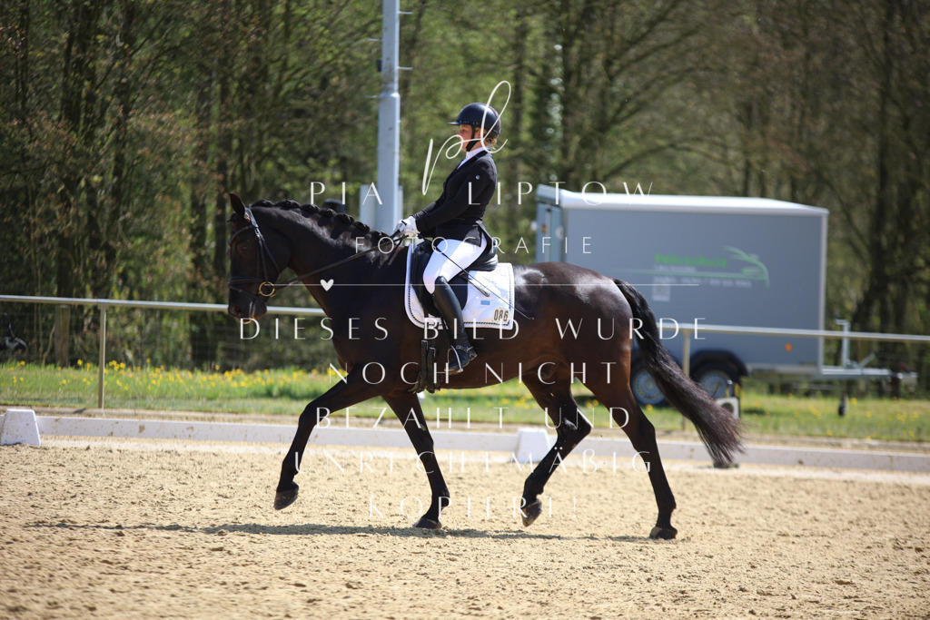 IMGT7167 | pl-fotografie