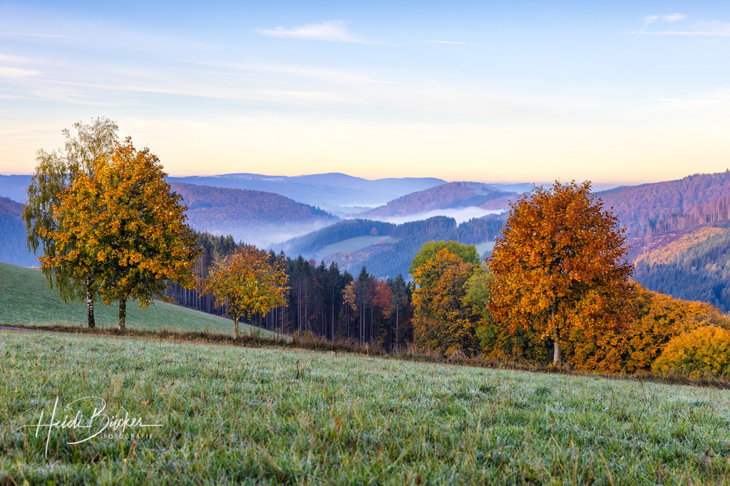 Aussicht vom Herhagen bei Nordenau | Bilder und Impressionen zu jeder Jahreszeit aus dem Sauerland im Naturpark Sauerland-Rothaargebirge - Realisiert mit Pictrs.com