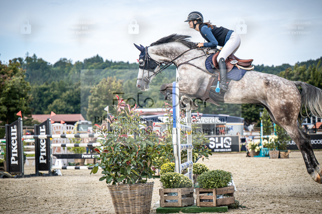 DOS_7359 | Entdecke hochwertige Reitturnierfotos von Foto Oger. Professionell, emotional und authentisch – jetzt Lieblingsmomente im Shop bestellen. - Realisiert mit Pictrs.com