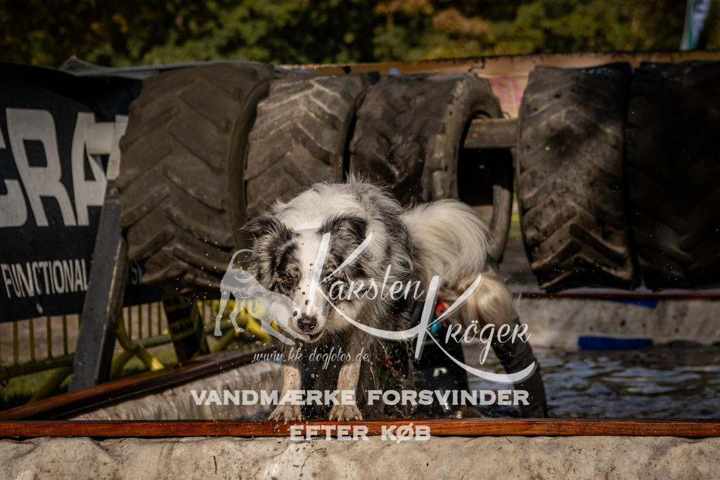 1301_ZZ91632 | kk-dogfotos