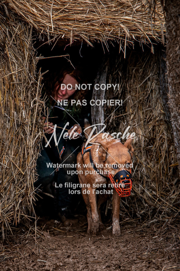 nelerasche_Hunsrück_So09-11_296 | nelerasche