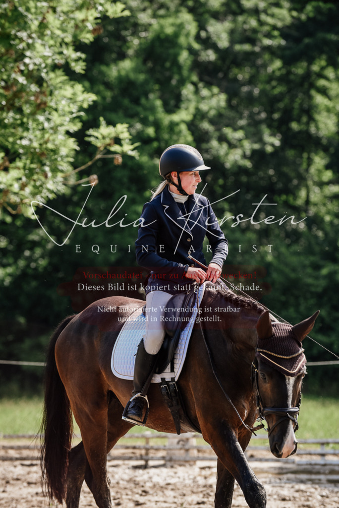 DSC_0137 | Pferde- und Turnierfotografie in Westsachsen. Pferdeportraits, Auftragszeichnungen und intuitive Kunst.