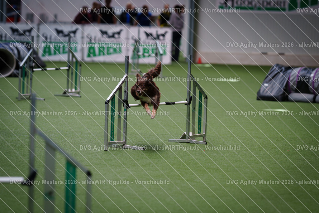 allesWIRTHgut_Tierfotografie-DVG_Agility_Masters_2026-10_21-7R503530 | Professionelle Tierfotografie in Mönchengladbach von Daniel Wirth (allesWIRTHgut). Liebevolle & natürliche Bilder von Hunden & Katzen für unvergessliche Erinnerungen.