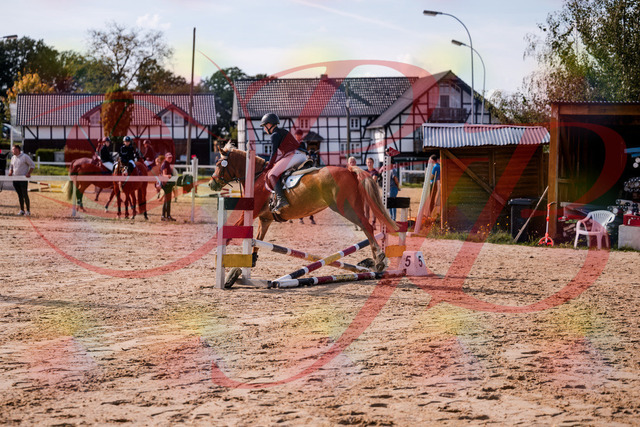 2026_10_03_Siefer-Hof_144727_Z81_24574534 | Professionelle Reitsport-, Turnier- und Eventfotografie von Robert Broda. Galerien mit ausgewählten und bearbeiteten Bildern direkt online ansehen und bestellen.