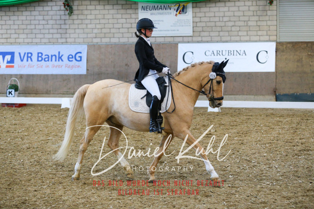 IMG_2771 | Turnierfotos kaufen im Webshop von Daniel Kuhl Photography – entdecke professionelle Reitsportfotos aus Turnieren & Events. Hochwertige Turnierbilder online bestellen & sichern. Jetzt Fotos von Reitsportturnieren kaufen!