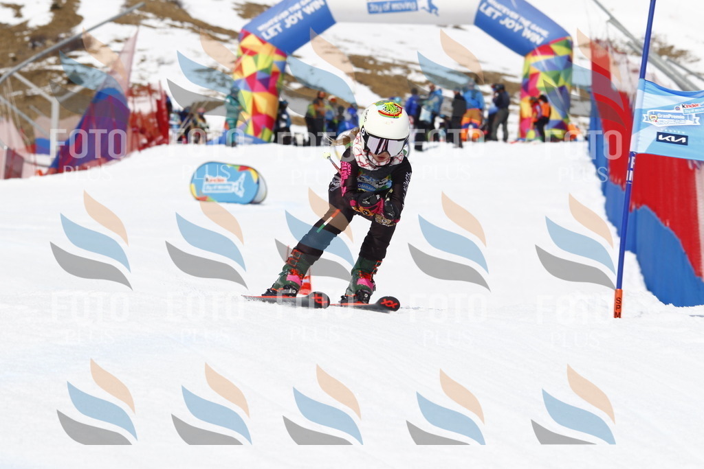 _U3G8168 | holidayphoto