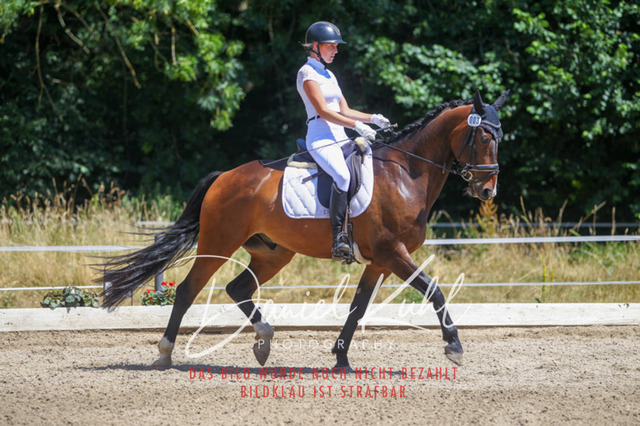 DKP46316 | Turniersportfotografie; Pferdefotografie; Dressurfotografie