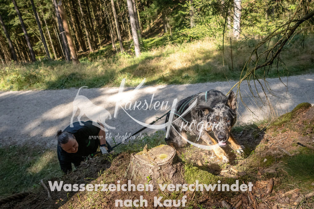 1241_ZZ90028 | kk-dogfotos