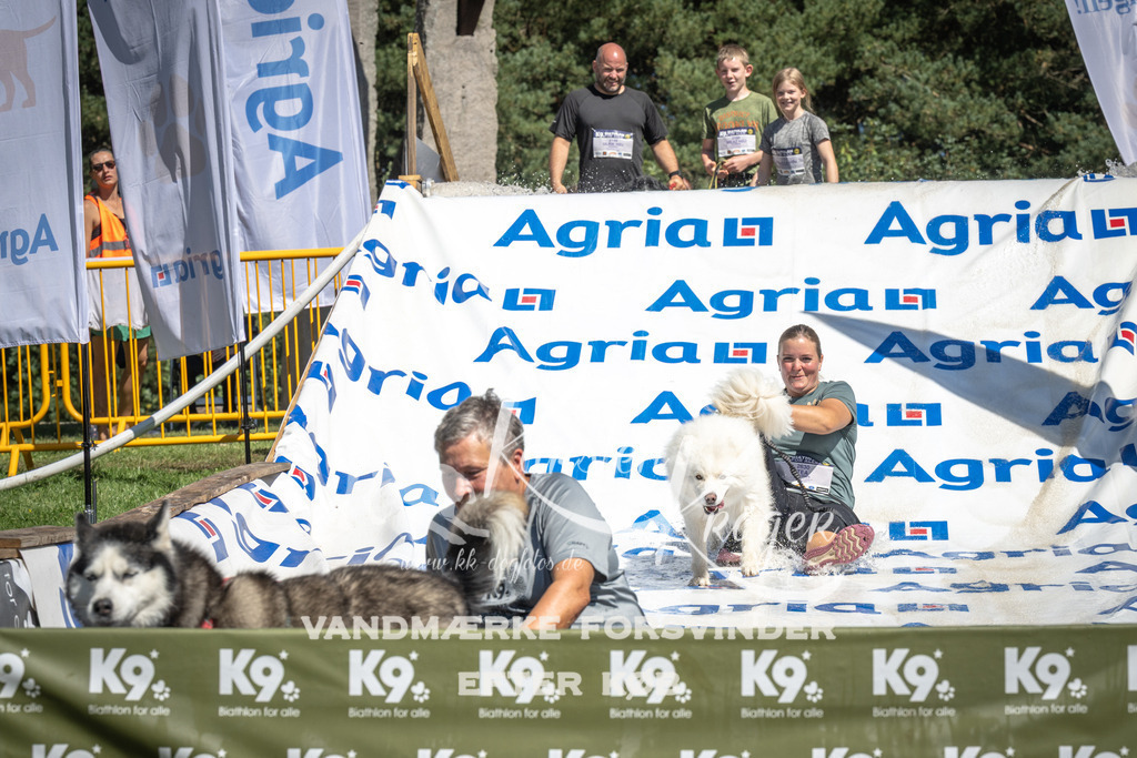 1316_ZZ99449 | kk-dogfotos