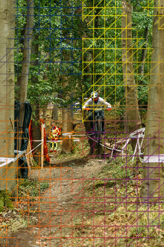 PAE-0311 | Einzigartige Fotokunst für dein Zuhause: Entdecke hochwertige Wandbilder, edle Prints und emotionale Motive von Wildlife, Natur und Landschaften - Realisiert mit Pictrs.com