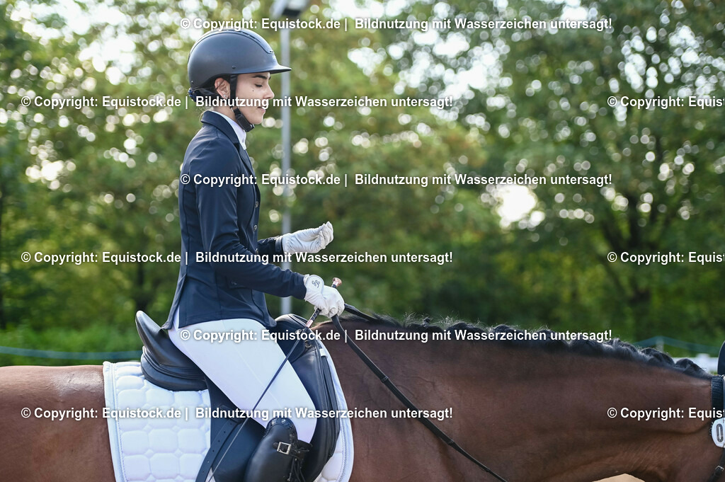 20230716_04_Dressurreiterprüfung Kl.A_0199 | equistock