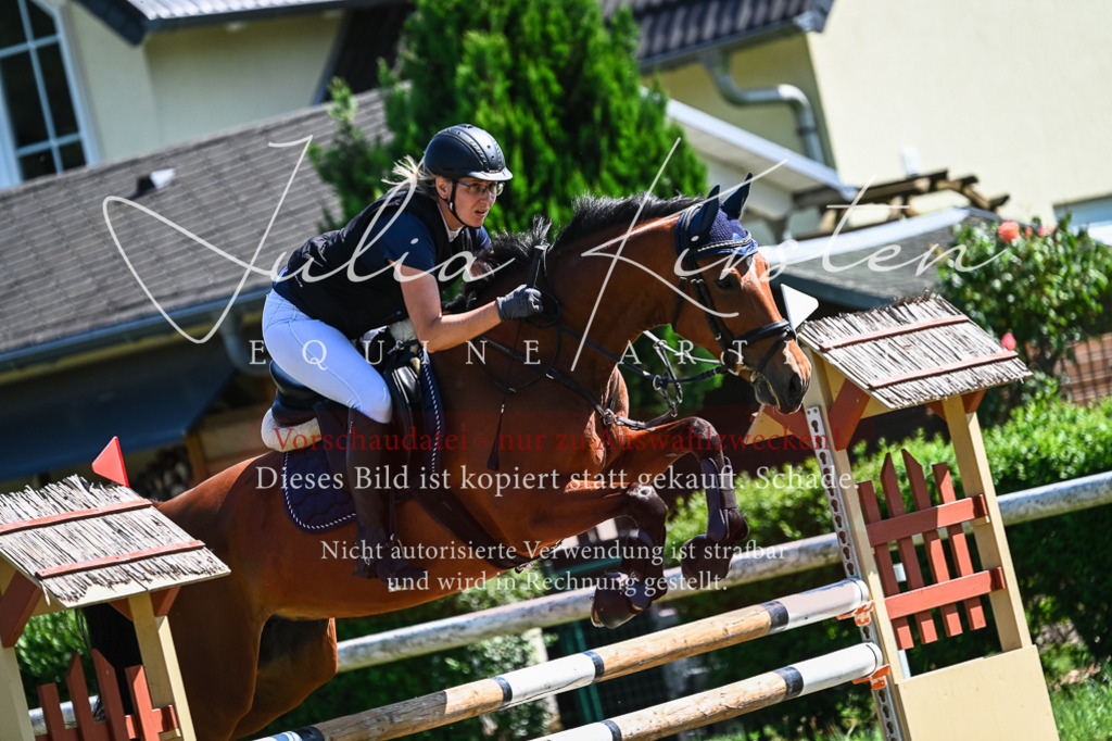DSC_1437 | Pferde- und Turnierfotografie in Westsachsen. Pferdeportraits, Auftragszeichnungen und intuitive Kunst.