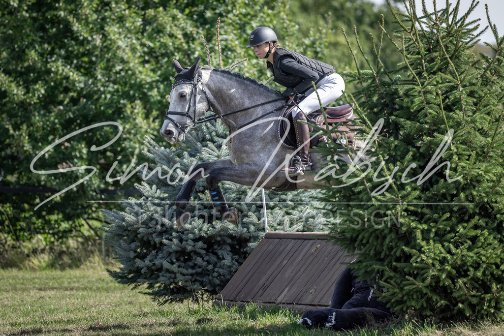 20250907-_3LI0025 | Tierfotografie Pferde, Hunde, Katzen, Haustiere.
Turnierfotografie Reitturniere, Reiten, Springreiten, Dressur in Hanau, dem Main-Kinzig-Kreis und dem Rhein-Main- Gebiet um Frankfurt