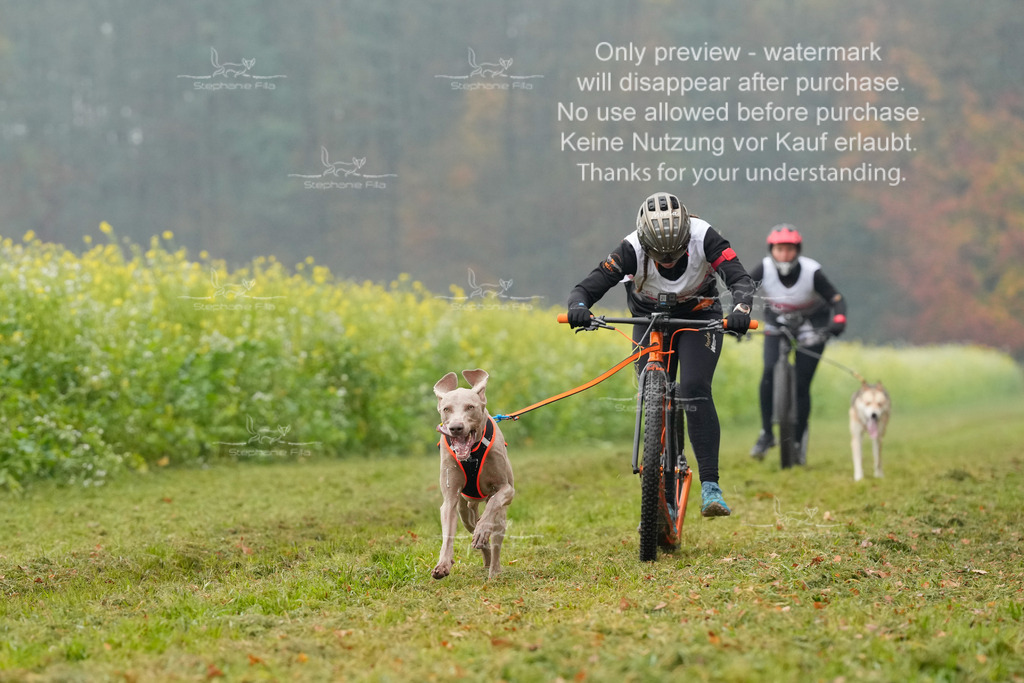 Visbeck_Sa_Scooter_Hc-61 | stephaniefillaphotographie - Realisiert mit Pictrs.com