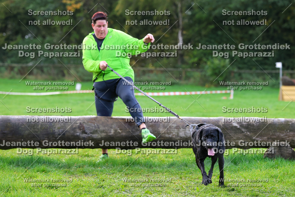 Dog Paparazzi -  SD1026-2241 | Dog Paparazzi Jeanette Grottendiek Fotografie & Videografie - Realisiert mit Pictrs.com