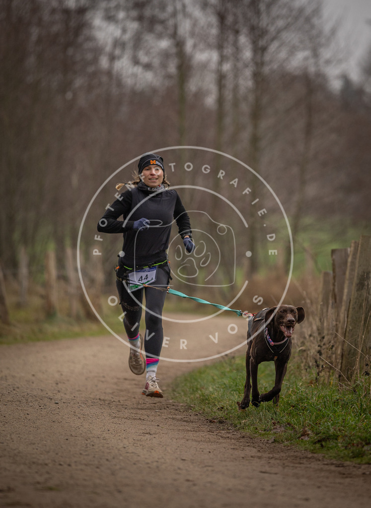 Pfotenfotografie_DV3A2681 | Hundefotografie, Tierfotograf, Pfotenfotografie, Fotoshooting Hund, Hunde Portrait, Hundesport, Hundeportraits, Heideshooting, Hunde, Sportfotograf, Hundefotograf, Turnierhundsport, THS,  - Realisiert mit Pictrs.com
