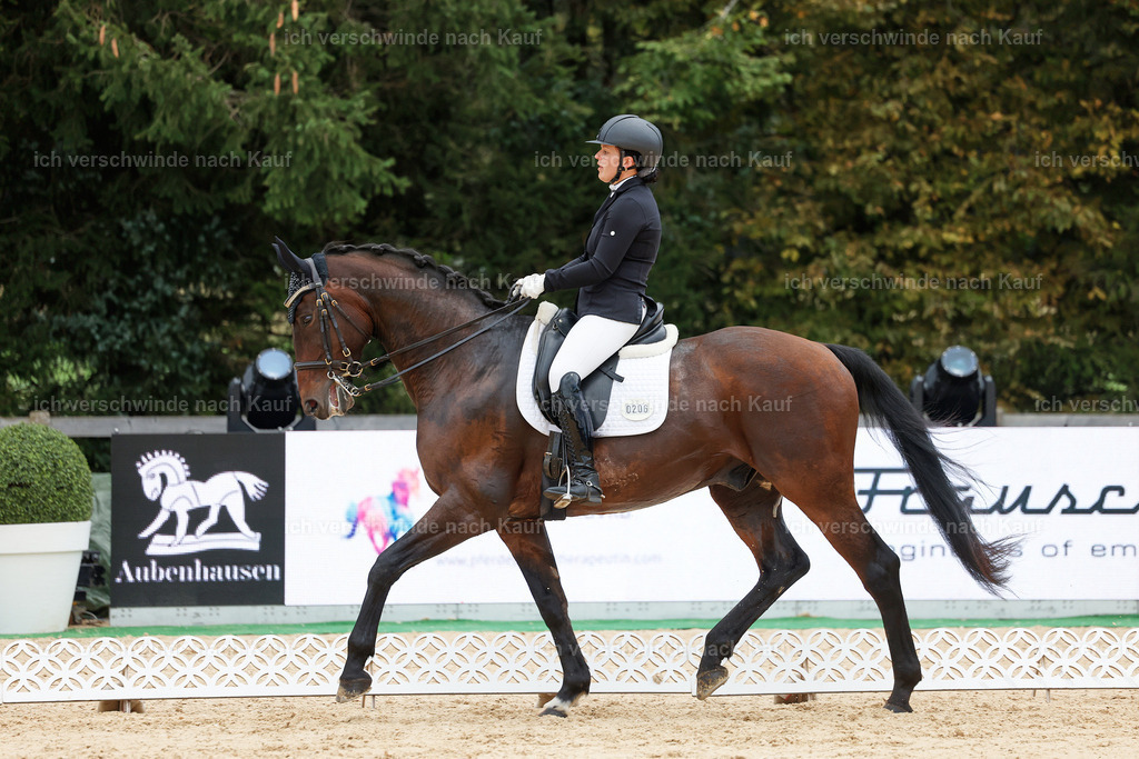 04_2-206-Dressur M__ -StoibPH-2921 | working equitationturnier fotograf videograf stoibphotography marixx film working equitation deutschland reitsport turnierfotografie eventfotografie equestrian events