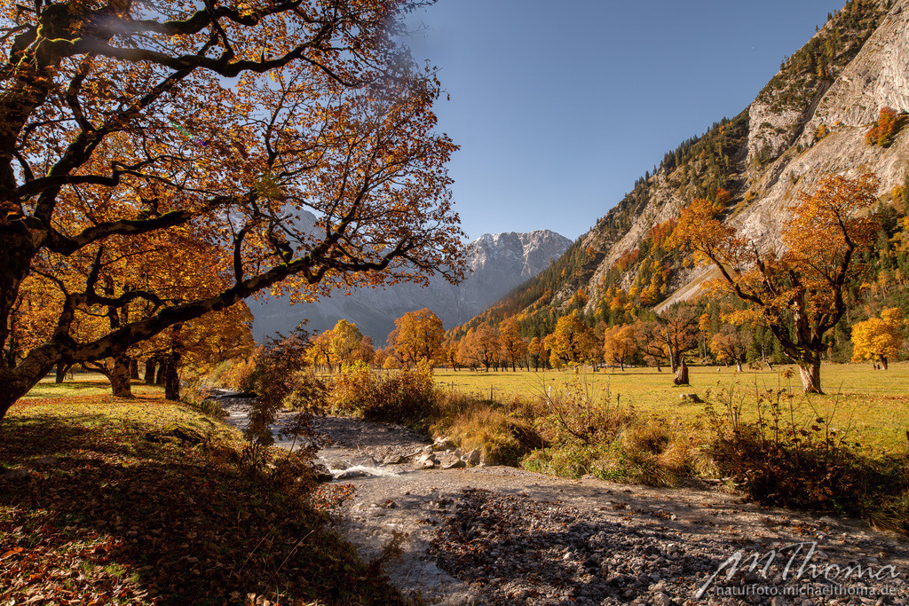 Großer Ahornboden | Dies ist der Online-Shop von naturfoto.michaelthoma.de. Ich bin leidenschaftlicher Naturfotograf und fotografiere von der Andromedagalaxie bis zum Zwergtaucher, von der Ameise bis zum Orionnebel alles was mit Natur zu tun hat. Hier kann eine Auswahl meine - Realisiert mit Pictrs.com