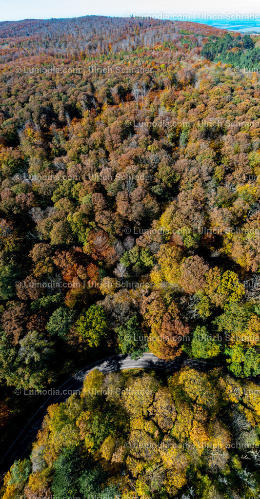 10049-51498 - Herbst im Huy bei Halberstadt | Stockfoto und Bilderpool mit Bildmaterial aus Deutschland, dem Harz, Halberstadt, Quedlinburg, Wernigerode und weltweit. Qualitativ hochwertige und professionelle Fotos anschauen und kaufen. - Realisiert mit Pictrs.com