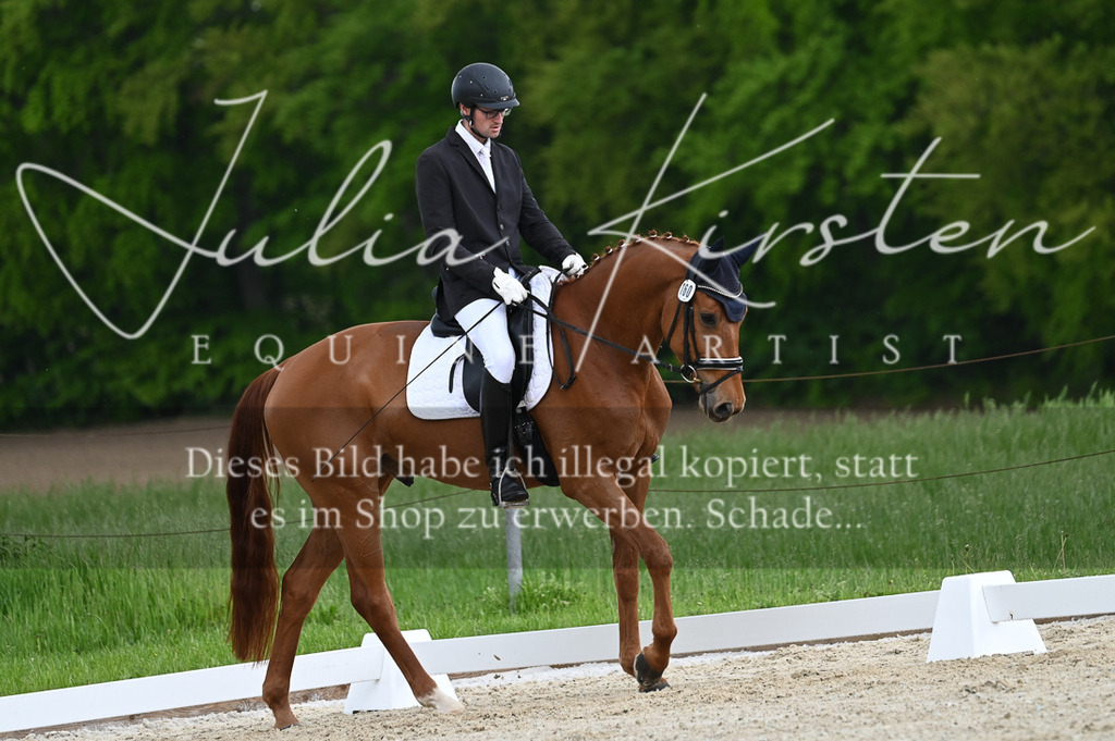 20230512_JK-Röhrsdorf-03-032 | Pferde- und Turnierfotografie in Westsachsen. Pferdeportraits, Auftragszeichnungen und intuitive Kunst.