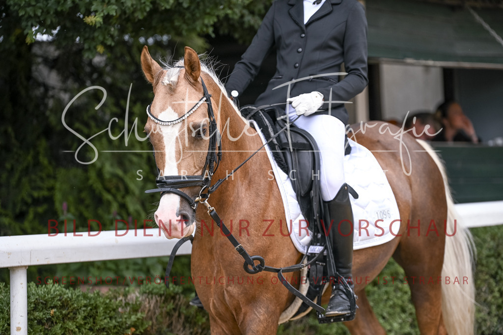 Schugtsche-Aluta25-44.DresssurreiterWB-32 | Schugtsche Fotografie - Realisiert mit Pictrs.com