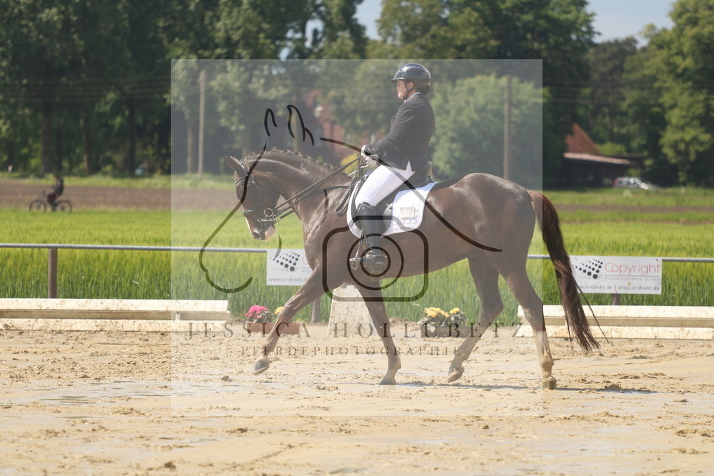 IMG_9227 | jessicahollubetz_pferdephotographie - Realisiert mit Pictrs.com