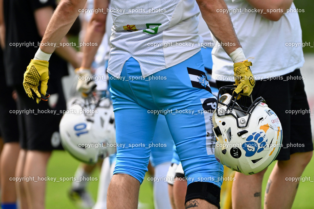 Carinthian Lions vs. Styrian Bears | Carinthian Lions vs. Styrian Bears, Carinthian Lions vs. Styrian Bears am 20.05.2024 in Klagenfurt (ASV Sportplatz), Austria, (Photo by Bernd Stefan)