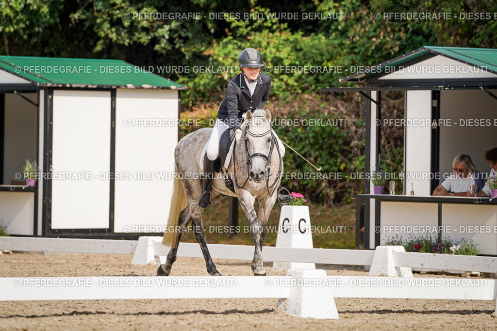 DSC07155 | Pferdegrafie