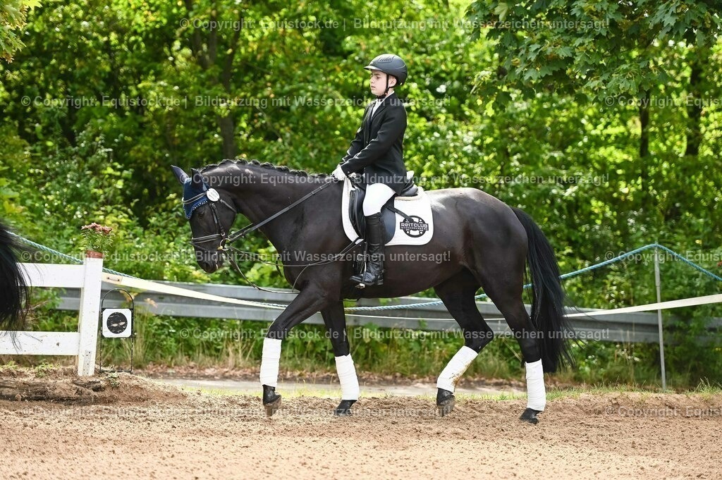 20230716_10-1_Reiter-WB Schritt - Trab - Galopp_0056 | equistock