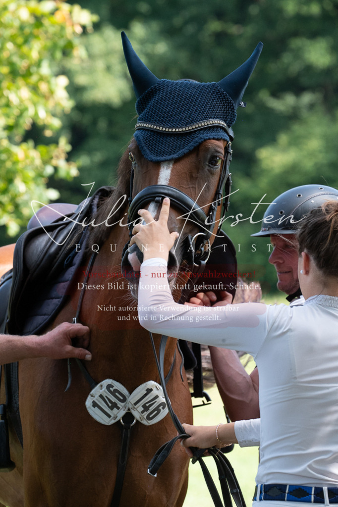 DSC_0663 | Pferde- und Turnierfotografie in Westsachsen. Pferdeportraits, Auftragszeichnungen und intuitive Kunst.