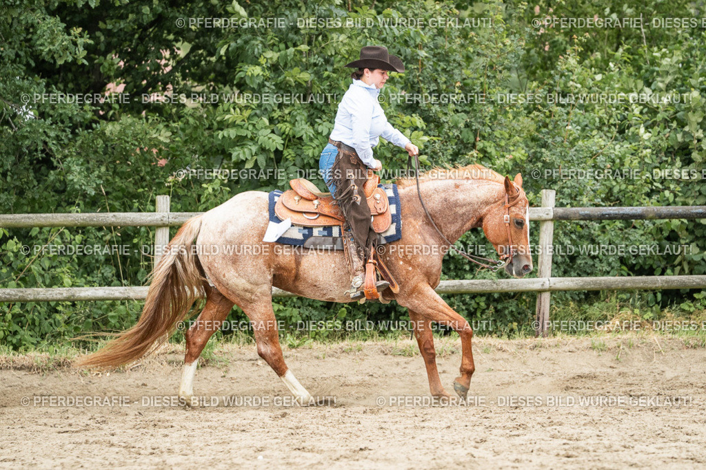 DSC04519 | Pferdegrafie