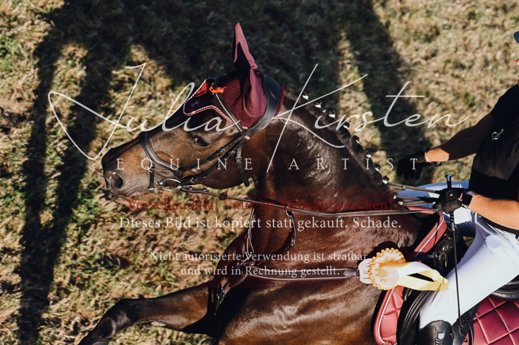 DSC_3311 | Pferde- und Turnierfotografie in Westsachsen. Pferdeportraits, Auftragszeichnungen und intuitive Kunst.