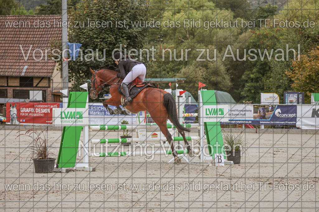 2025-09-22_09-40-26_MG_4220 | TE-Fotos