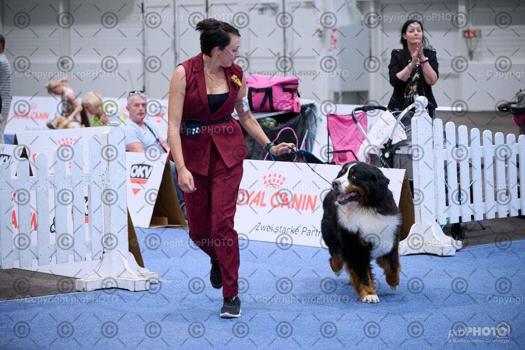 202406_ÖKV-IHA-Tulln24_NZ9_8821 | proPHOTO - Realisiert mit Pictrs.com