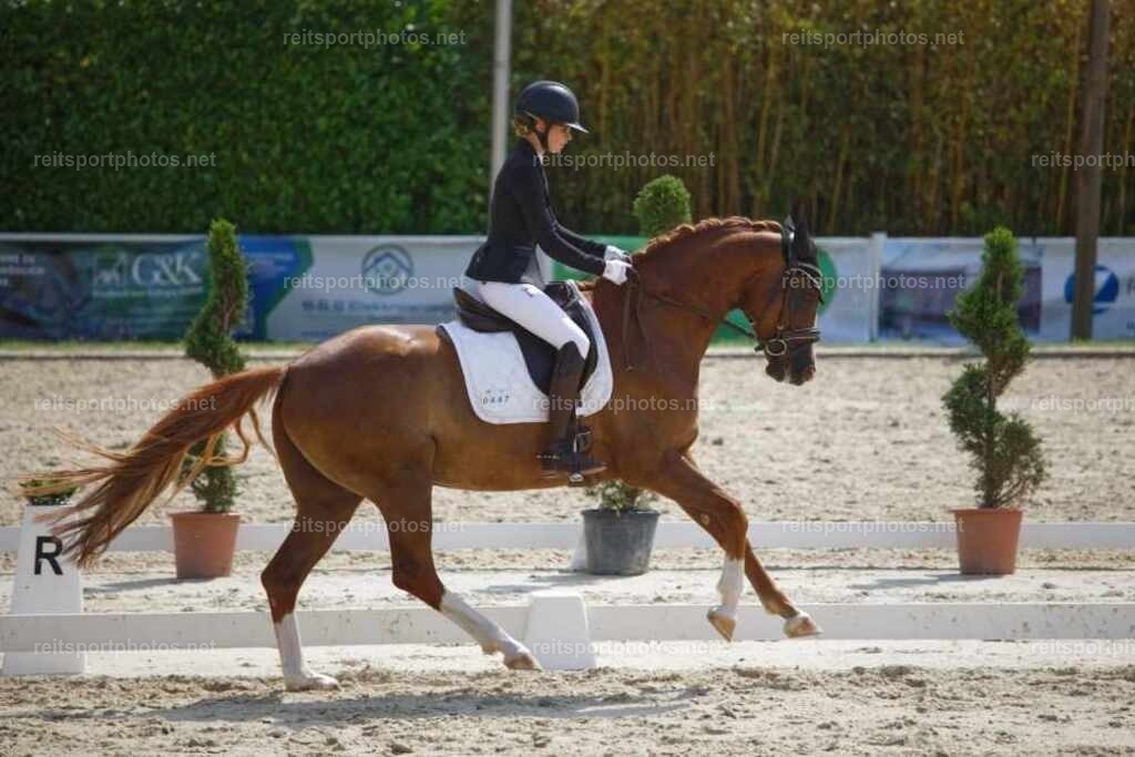 JHE_3322 | JoYa Fotografie - Realisiert mit Pictrs.com