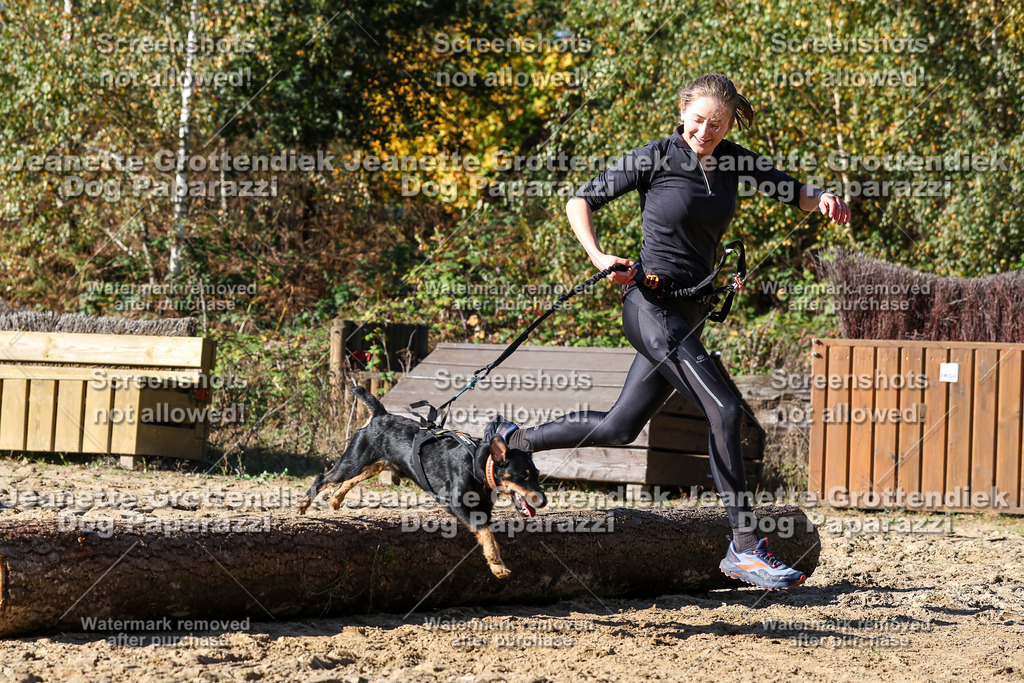 Dog Paparazzi - Strongdog 10-25-2855 | Dog Paparazzi Jeanette Grottendiek Fotografie & Videografie - Realisiert mit Pictrs.com